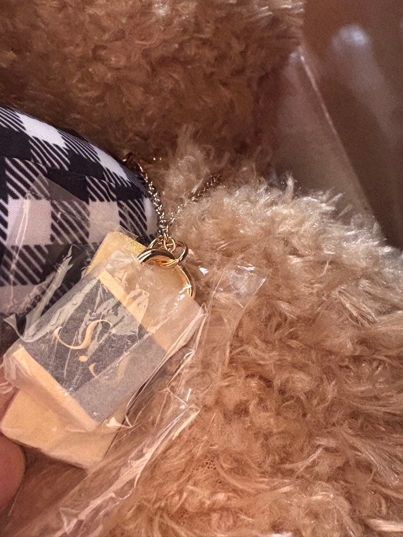 AAA 末吉秀太 Heartybear 確認開封のみ ハーティーベア