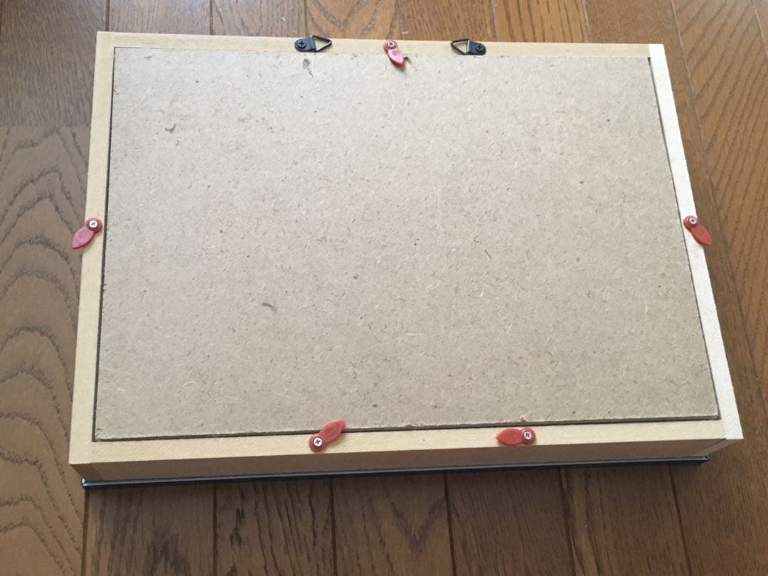 Ooo　標本箱A4サイズ黒枠5点