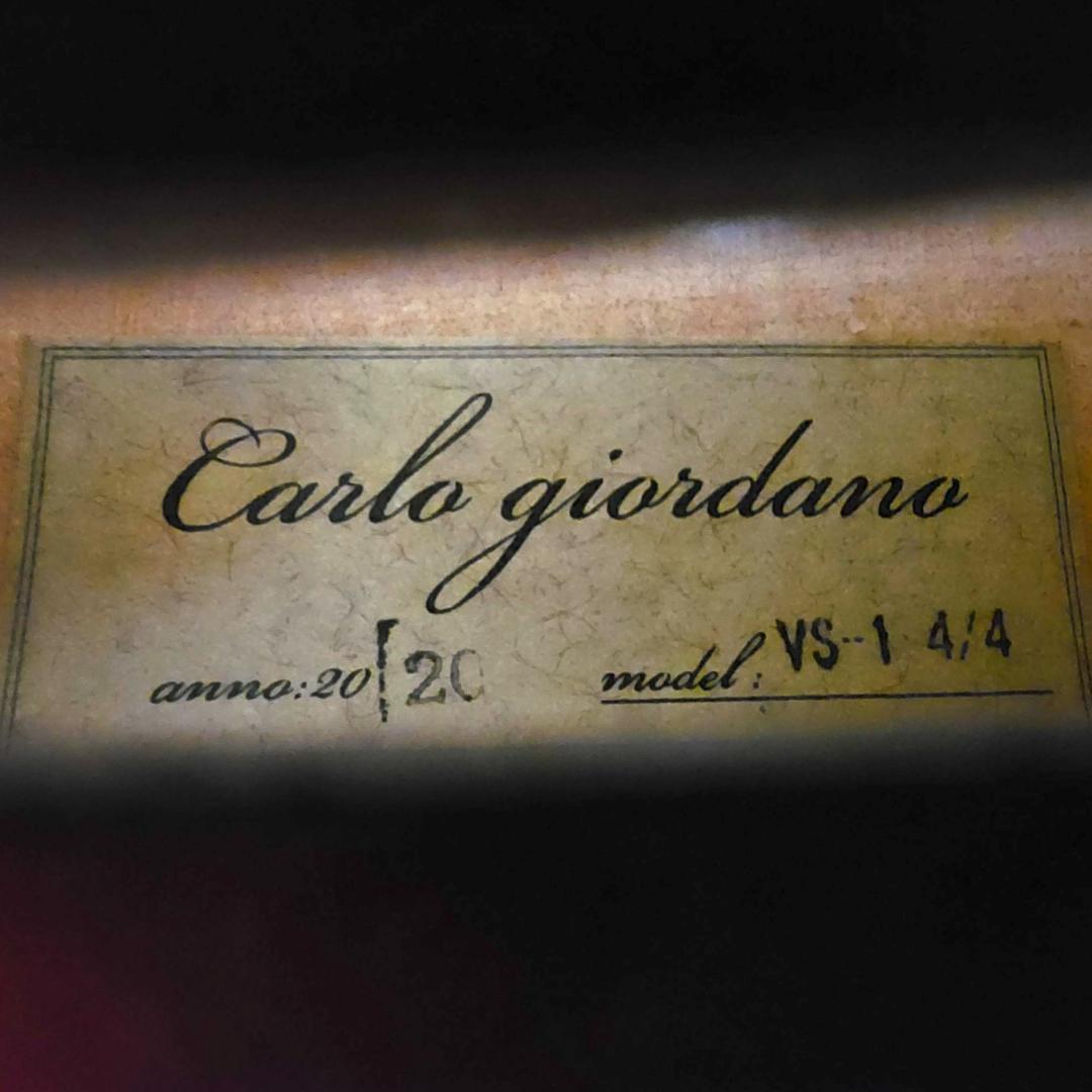 Carlo giordano VS-1 4/4 2020 バイオリン 付属品多数
