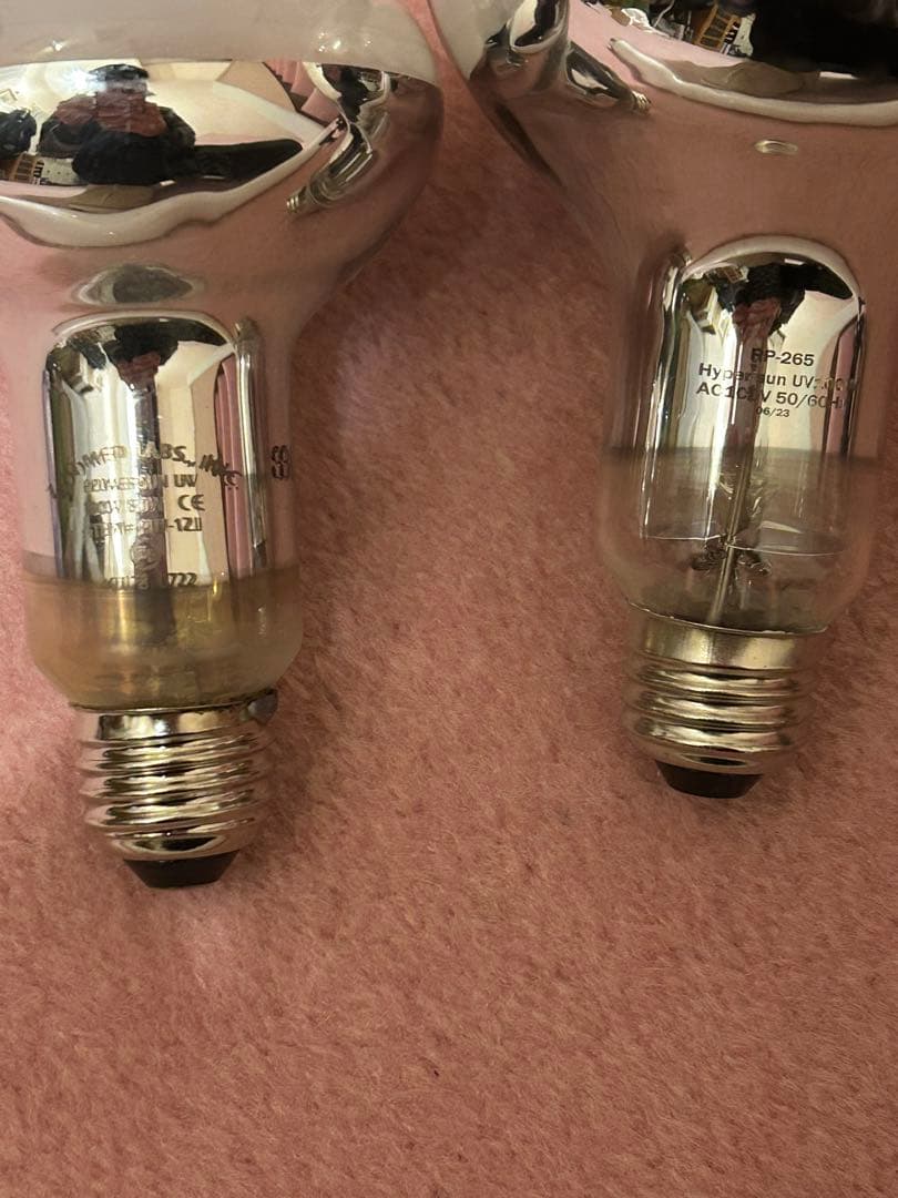 【動作確認済み】エキゾテラ ズーメッド 爬虫類用品セット