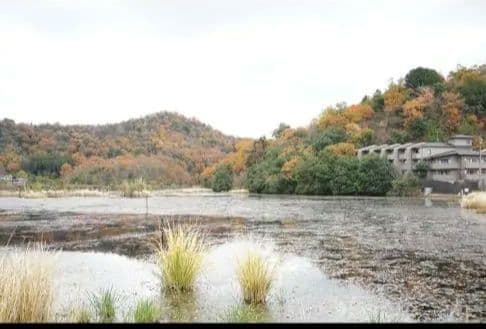 SONY α7 II ミラーレス一眼