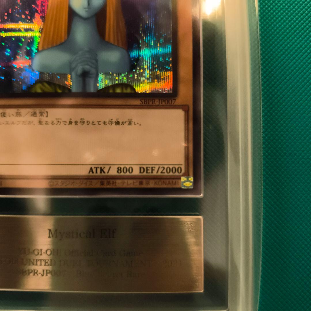 A*M様 ホーリー・エルフ 　ブルシク　ars10