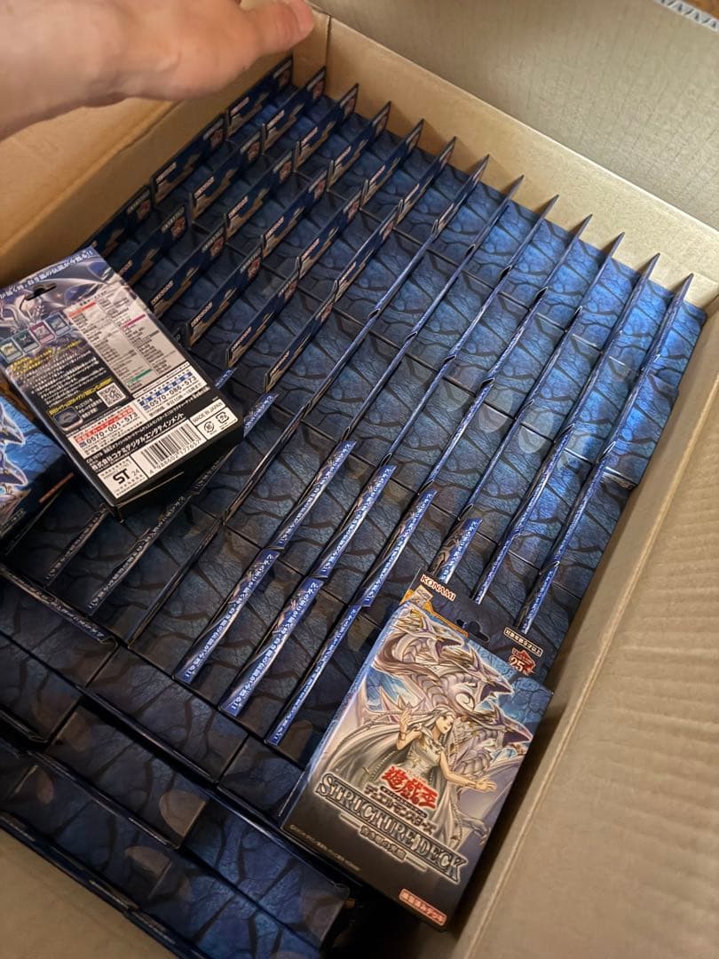 新品未開封 青き眼の光臨 50個