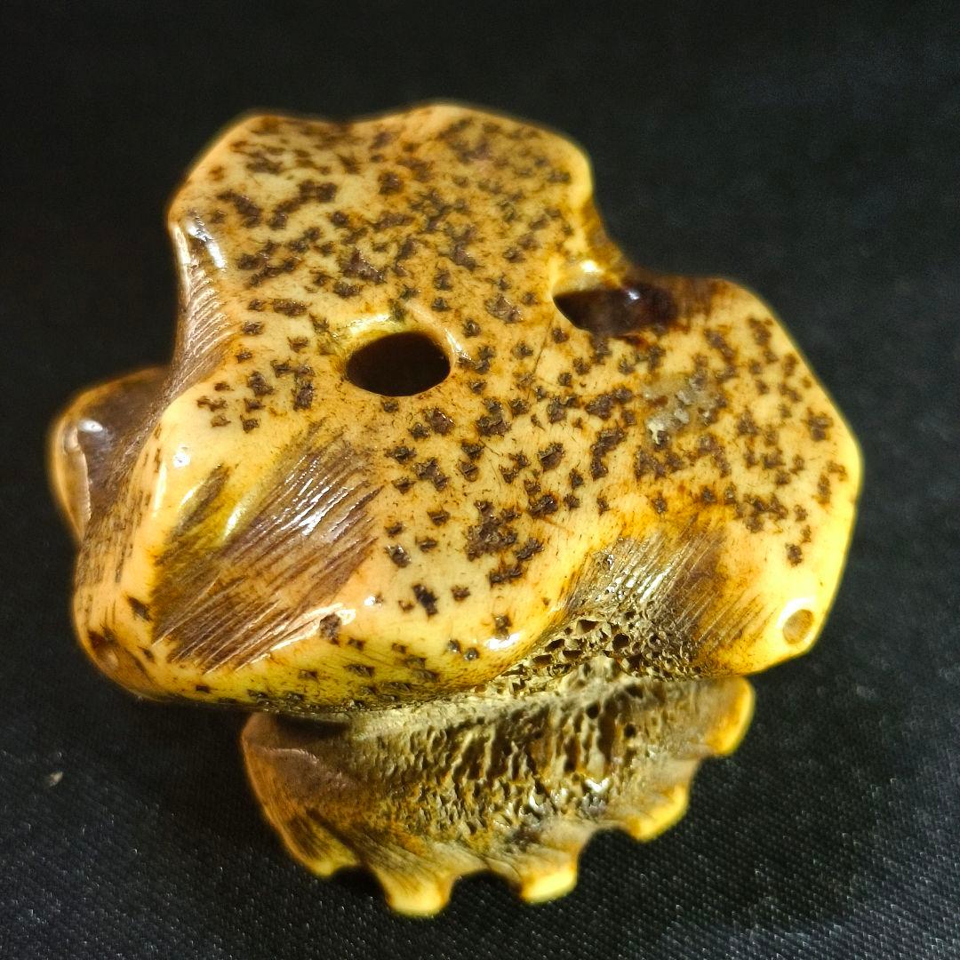 根付 貝尽くし 鹿角彫り 江戸骨董 古美術品 旧家蔵出美品 蒐集家放出 時代物