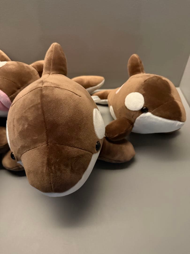 オルカくじ　新色　ショコラ・デュオ　3等　4等　4匹セット　須磨シーワールド