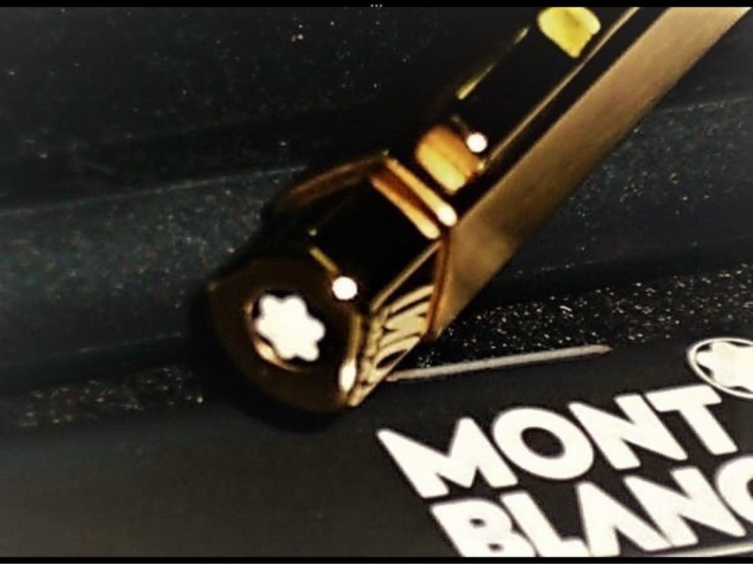 モンブラン⭐️レオナルド総金張りチタンTitaniumNo20280⭐️人間工学形状