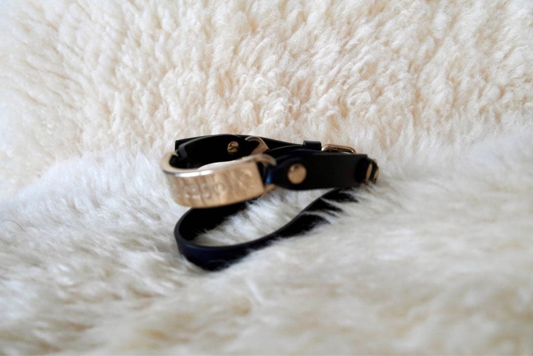 レア Jimmy Choo ドッグハーネス ジミーチュウ 犬用 ハーネス