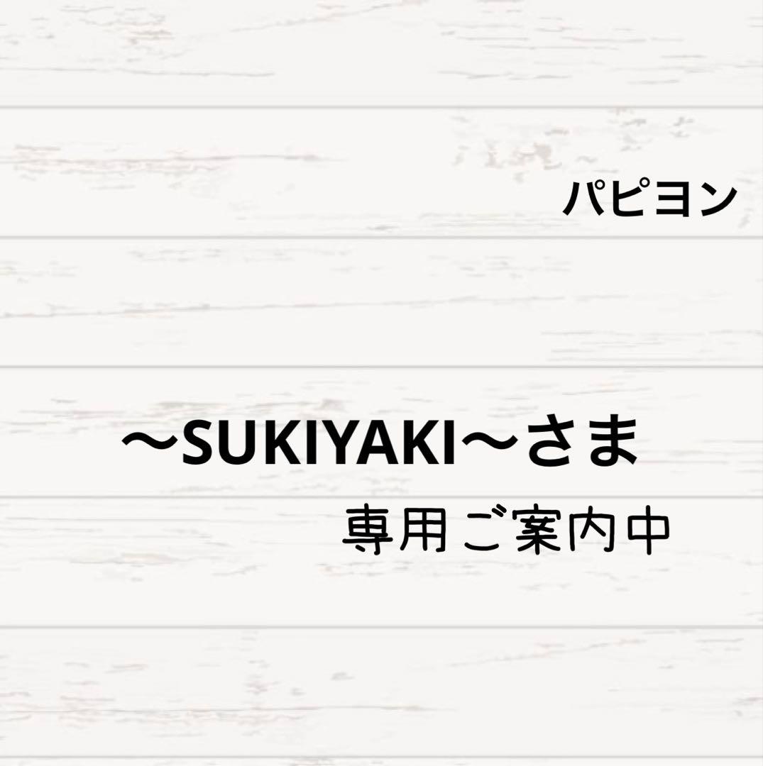 専用ご案内中♡うちの子お散歩バッグ パピヨン ネーム入り ハンドメイド