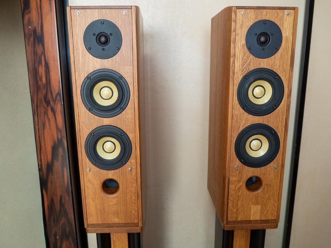 Pioneer パイオニア S-PM300 ピュアモルトスピーカー 美品