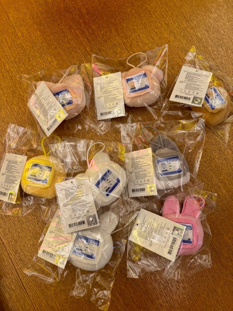 Stray Kids スキズ KARMA ポップアップ ネームタグ コンプ