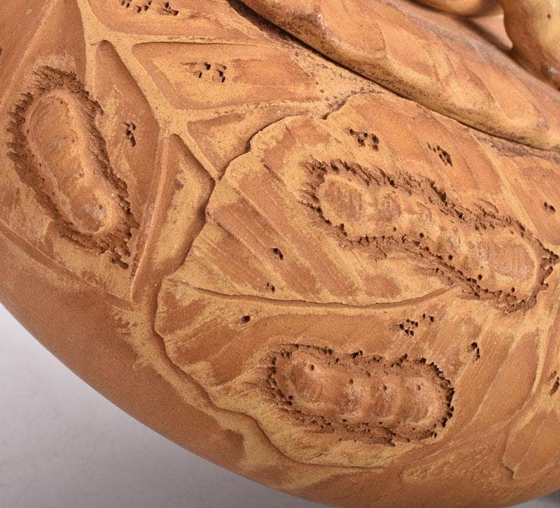 中国　紫砂　黄泥　陳鳴遠製　桑の葉に蚕　急須　茶壷　D　R5364E