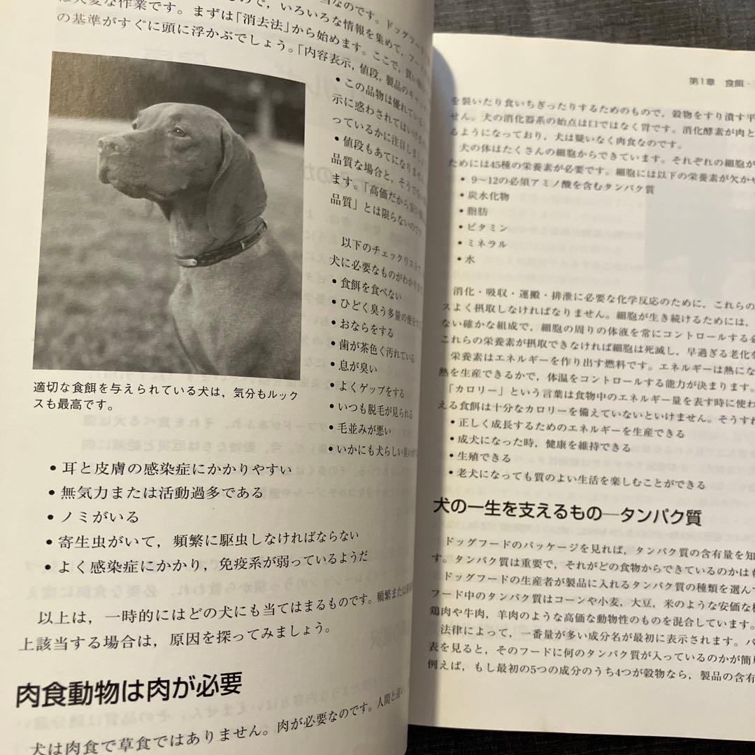 ドッグ・ホリスティックガイド