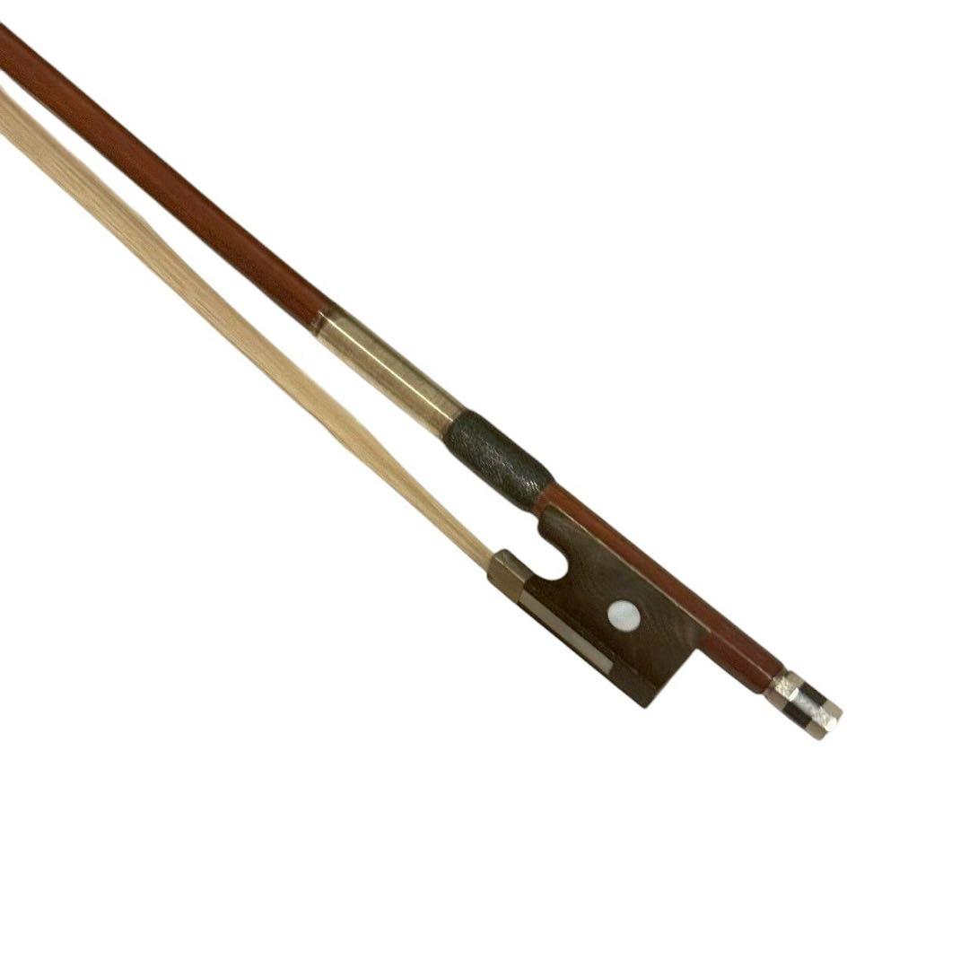 Carlo giordano バイオリン VS-0-44 4/4サイズ 大人用