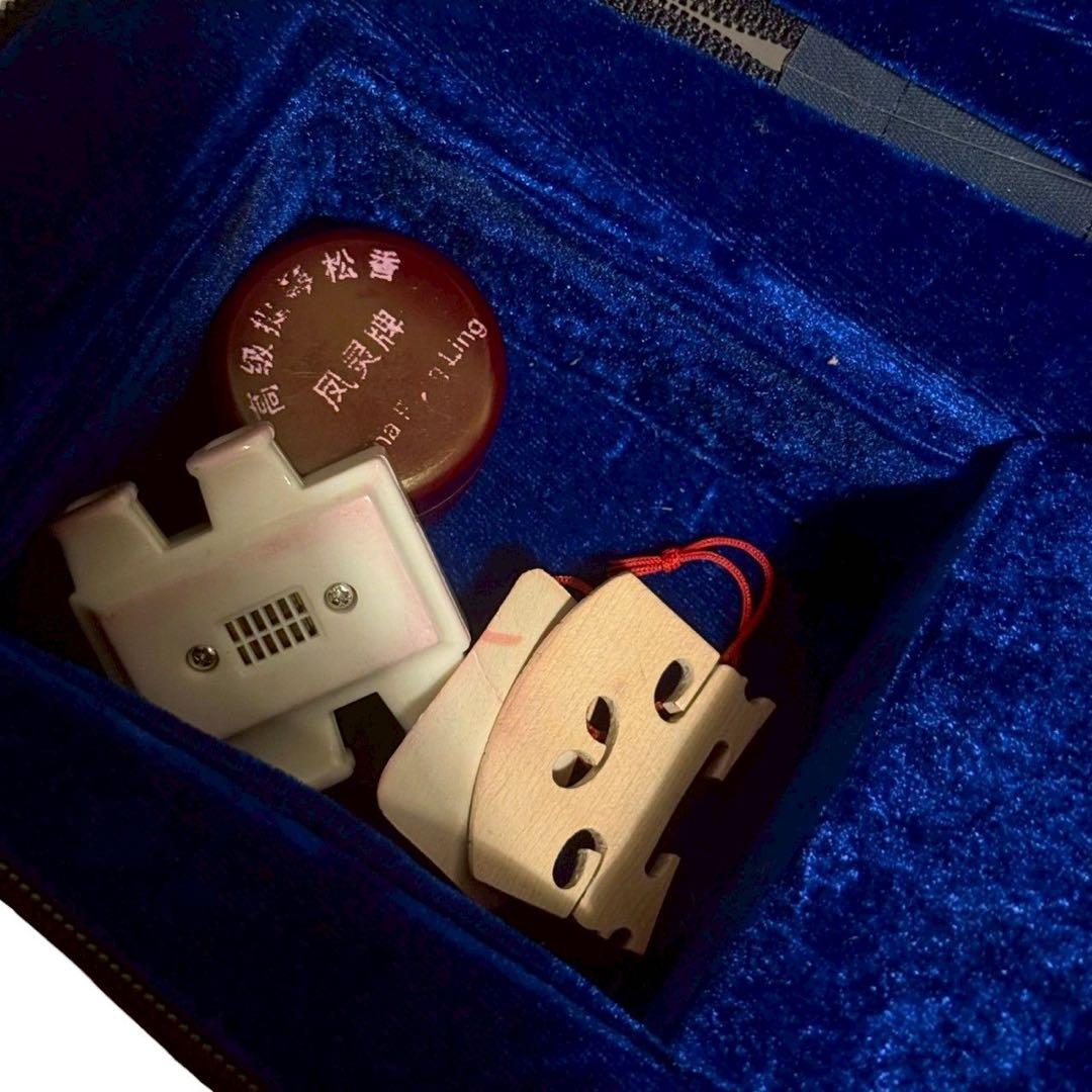 Carlo giordano バイオリン VS-0-44 4/4サイズ 大人用