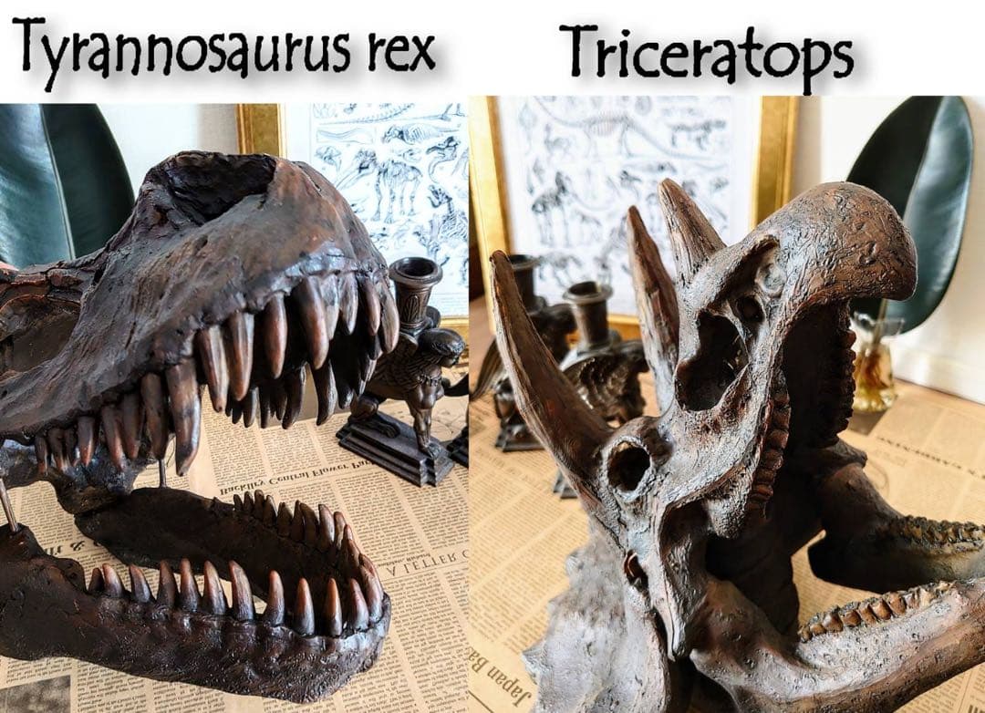 お得な２個セット！ ティラノサウルス 化石 インテリア 雑貨 オブジェ