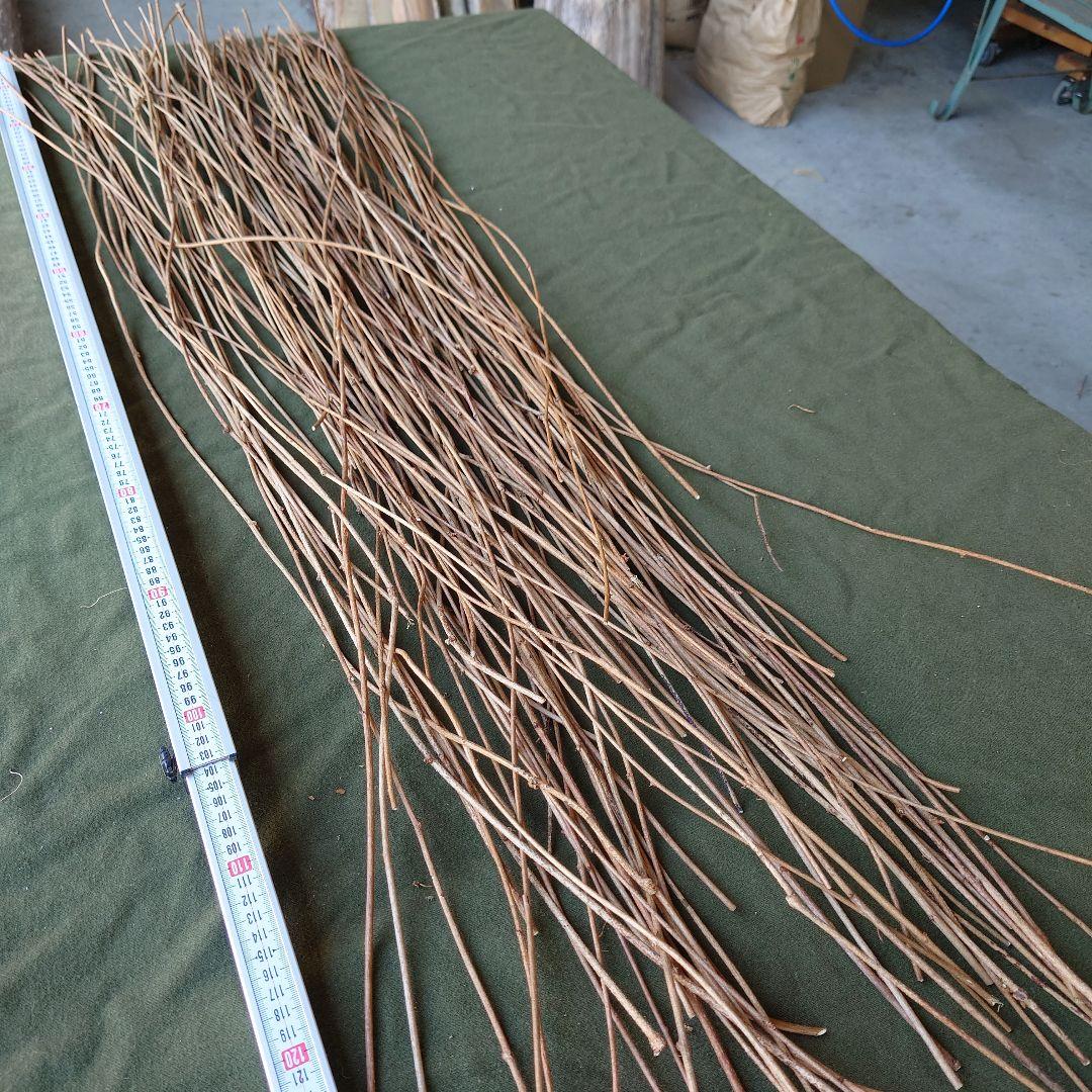 アケビの蔓（根蔓ランナー)