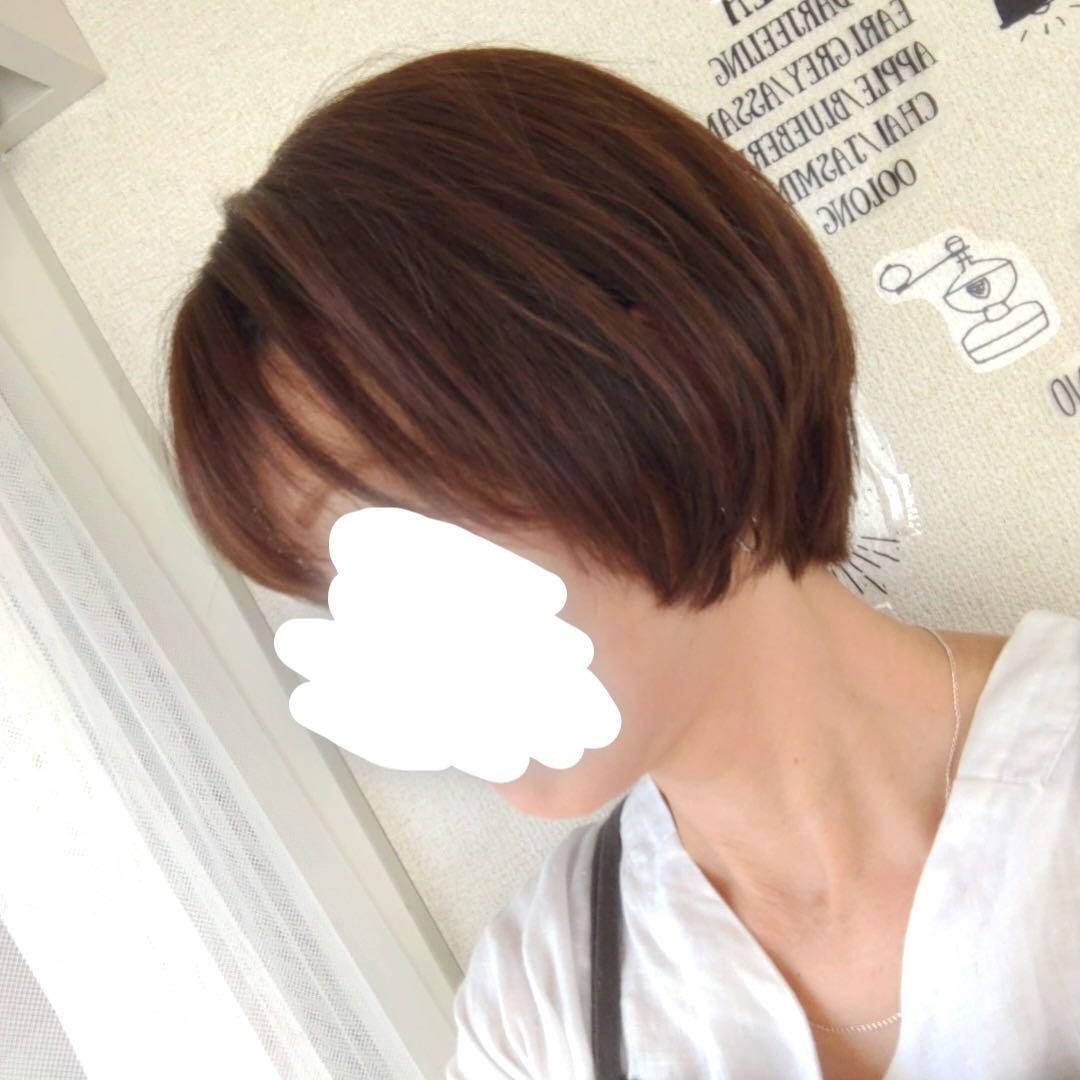 ★サラサラ高級人毛100%★マッシュショート　ブラウン　フルウイッグ　かつら