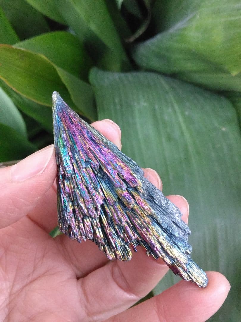 超希少❇龍神と対❇️鳳凰⭐四神⭐四神獣⭐四神相応⭐四神獣置物⭐お守り⭐心願成就