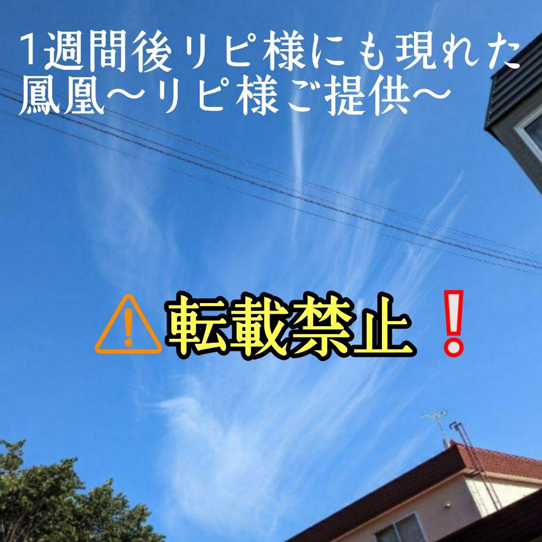 超希少❇龍神と対❇️鳳凰⭐四神⭐四神獣⭐四神相応⭐四神獣置物⭐お守り⭐心願成就