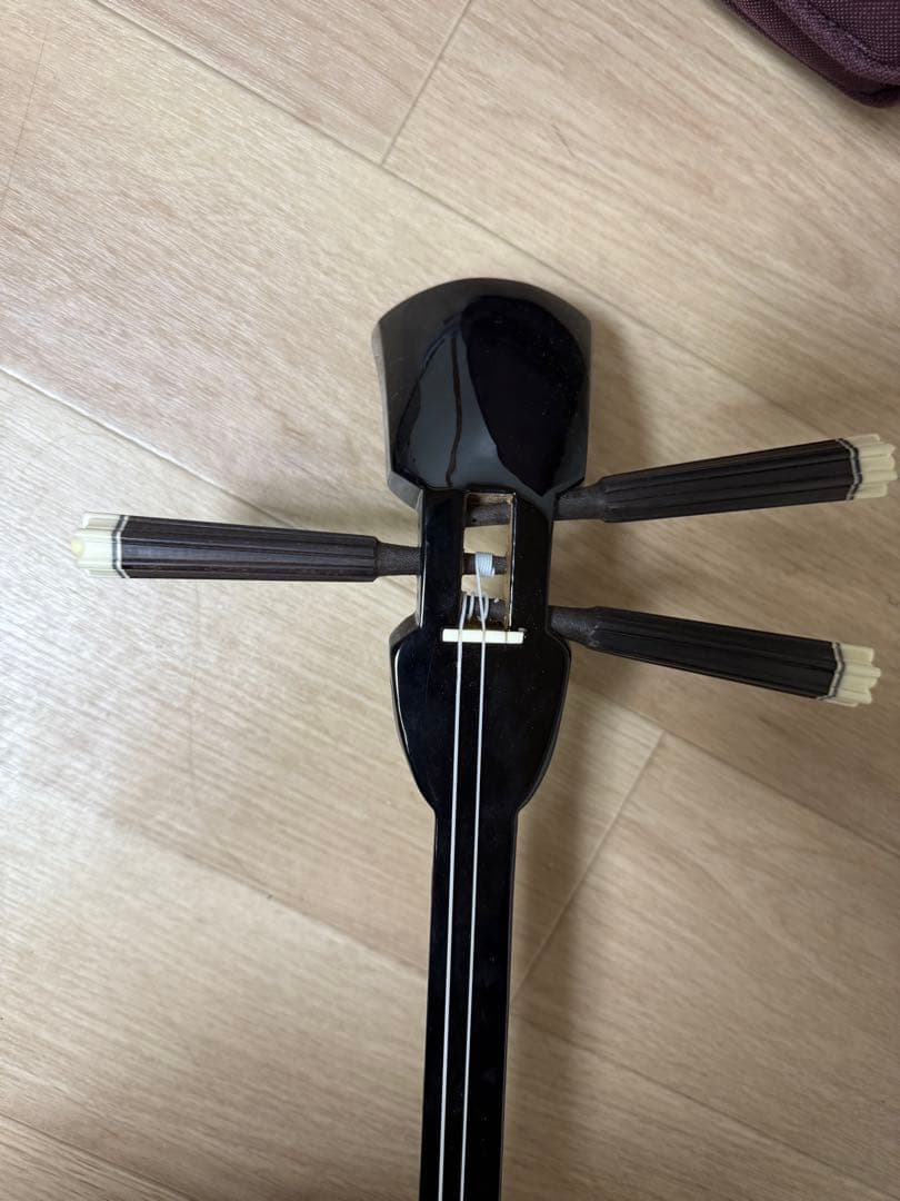 三味線 ヘビ柄デザイン ケース付き