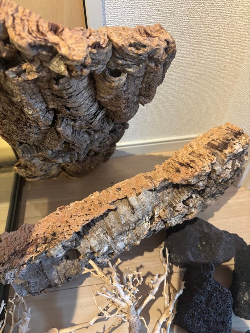 GEX エキゾテラ グラステラリウム4545 爬虫類 飼育ゲージ ドレイン