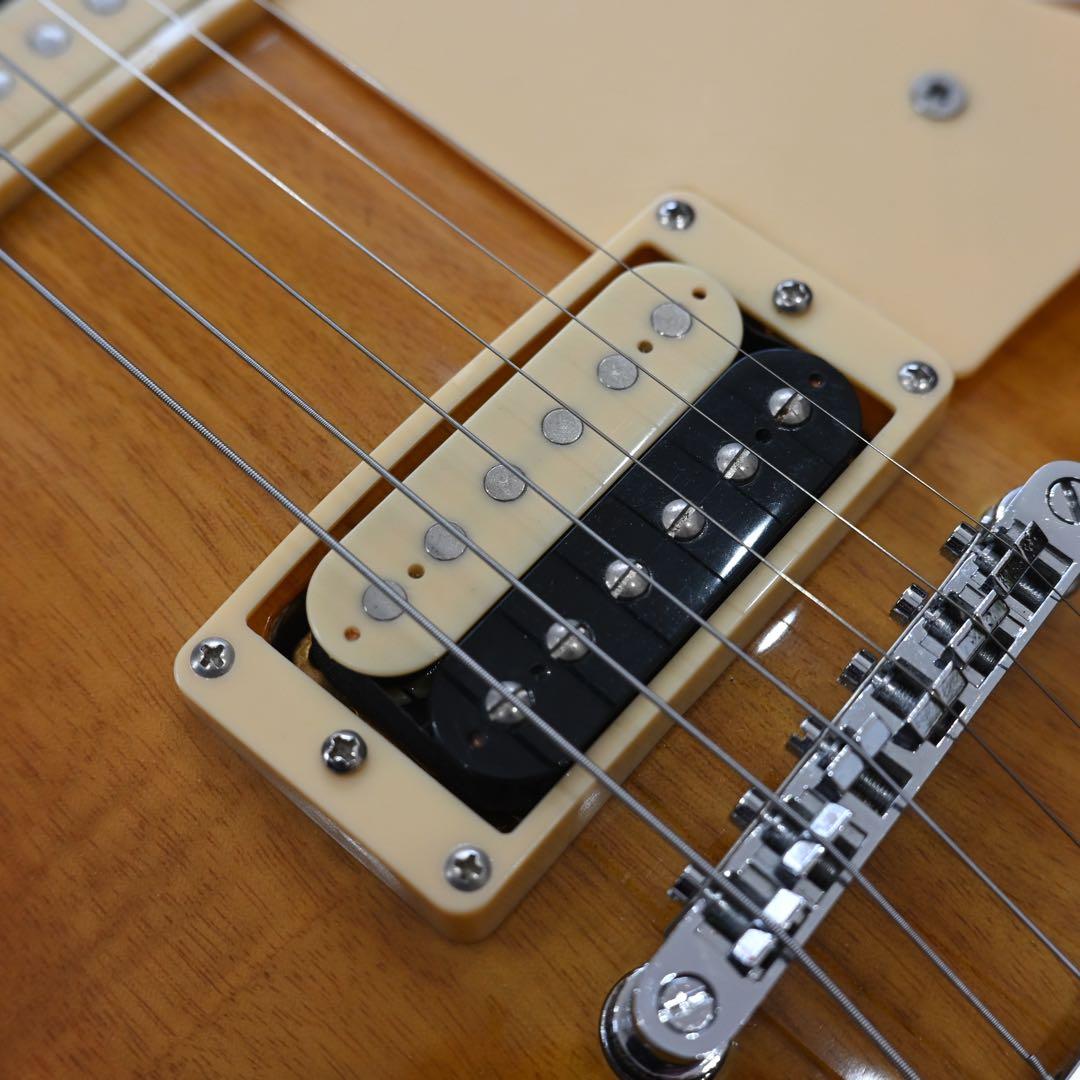 バッカス　レスポールスタンダードタイプ　ソフトケース付き