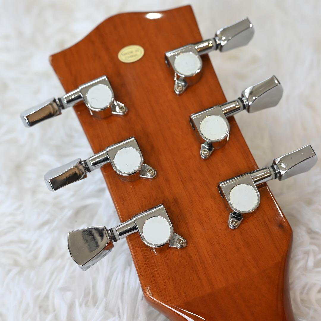 バッカス　レスポールスタンダードタイプ　ソフトケース付き