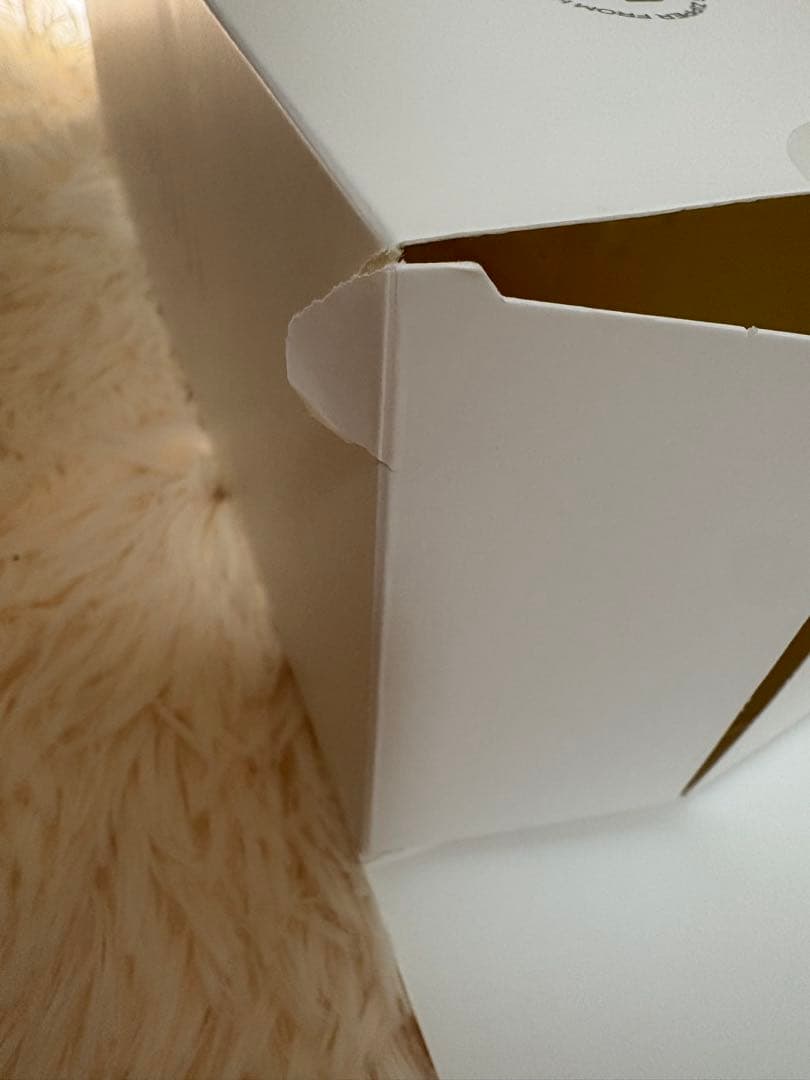 アイドル FRUITS ZIPPER OFFICIAL FAN LIGHT