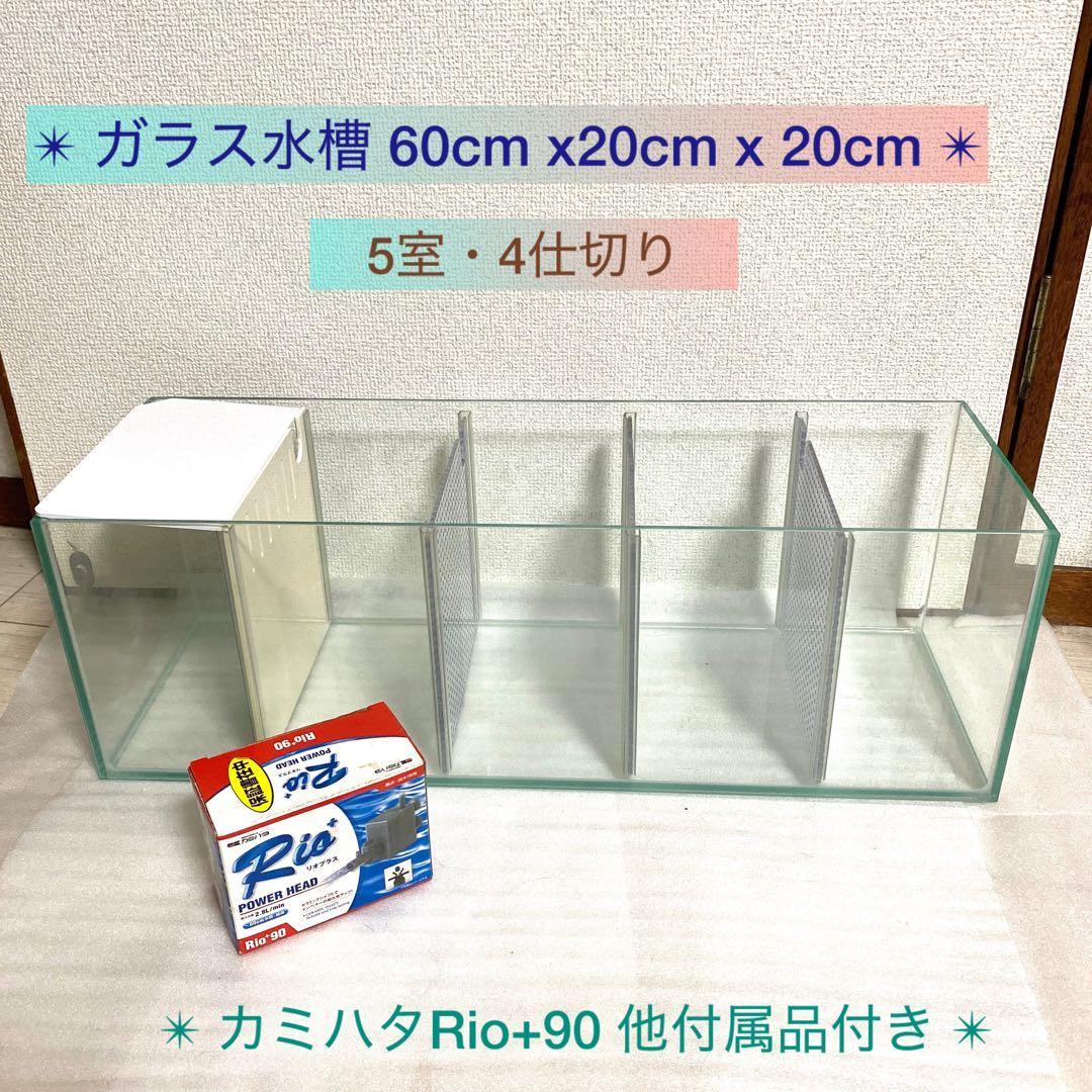 特注ガラス水槽・クリア・60×20×20cm 5室・4枚仕切り・Rioポンプ付き