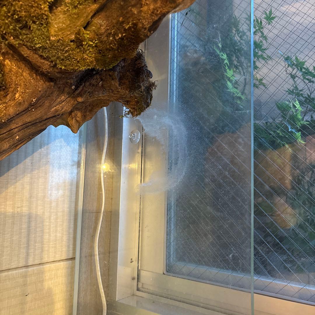 走*剣様 ガラス水槽120✖️45✖️35 と　 ガラス90 22 30