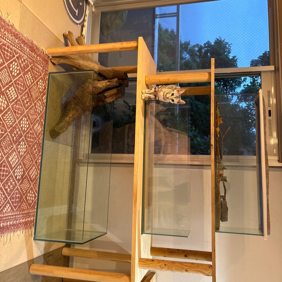 走*剣様 ガラス水槽120✖️45✖️35 と　 ガラス90 22 30