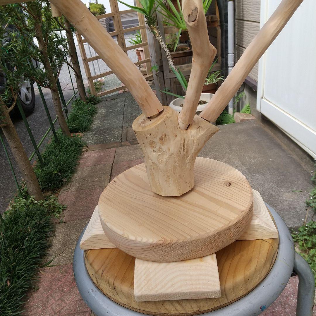 マロ小鳥の楽園バードアスレチックツリージム③