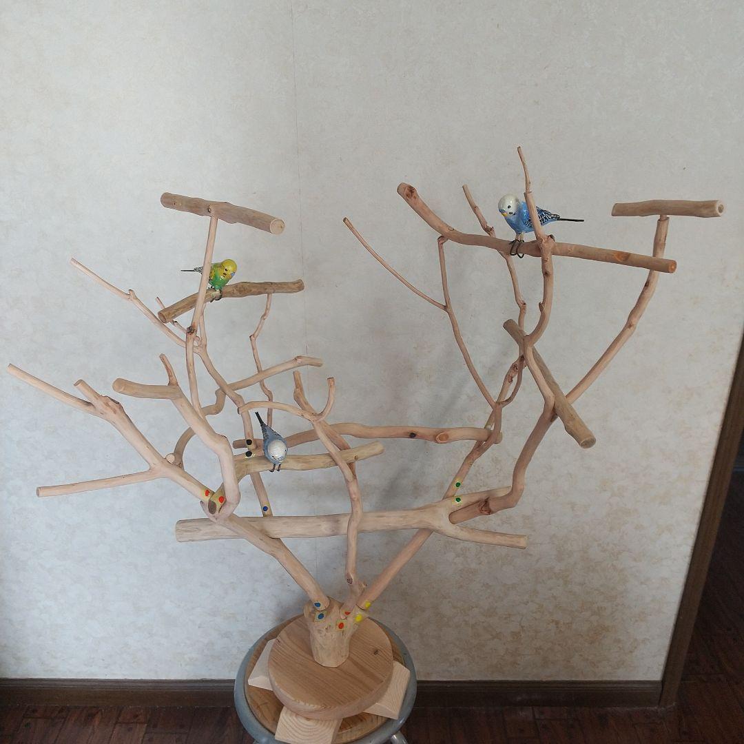 マロ小鳥の楽園バードアスレチックツリージム③