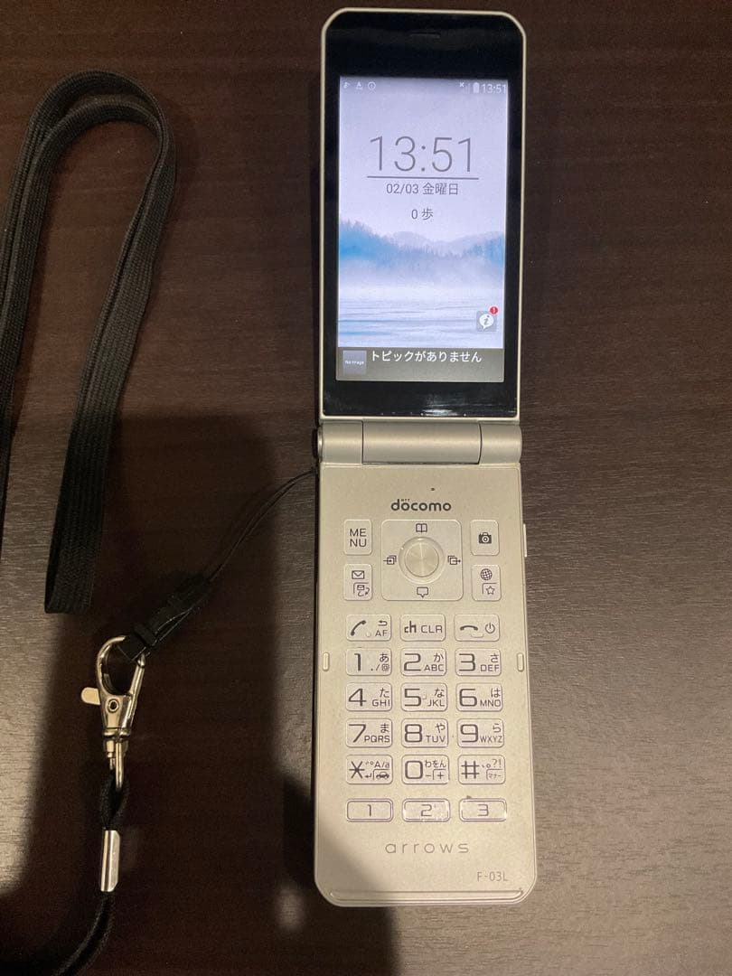 docomo arrows F-03L シルバー 本体 充電器 ストラップ付き