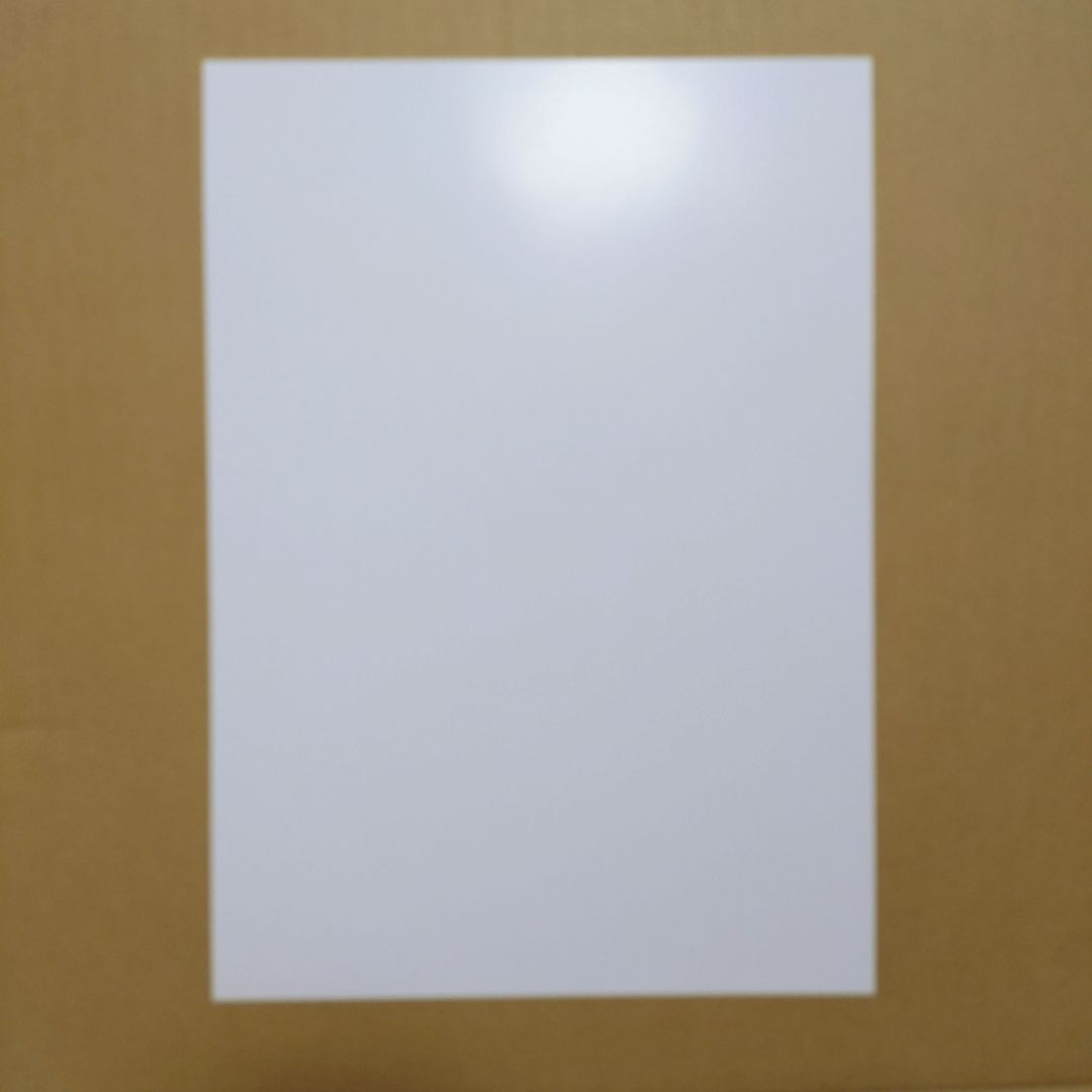 ハイキュー　佐久早聖臣　ポスター　a4 vリーグ　コラボ　v.league