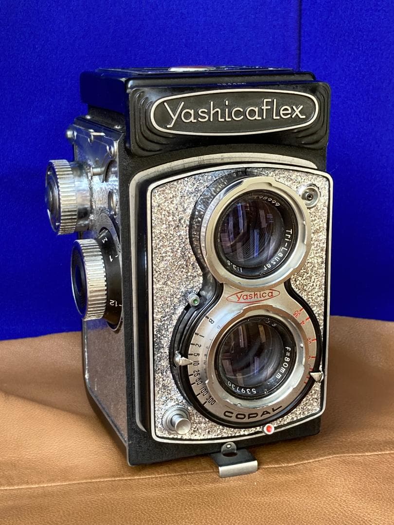 キラキラ感　新しい始まり　YASHICA FLEX　 for Interior