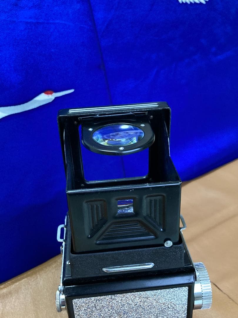 キラキラ感　新しい始まり　YASHICA FLEX　 for Interior