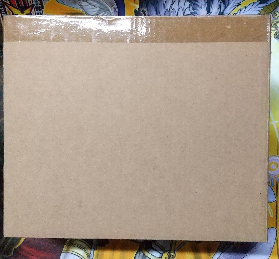 アンサンブルensemble EX40 EX41 デンドロビウム ノイエ・ジール