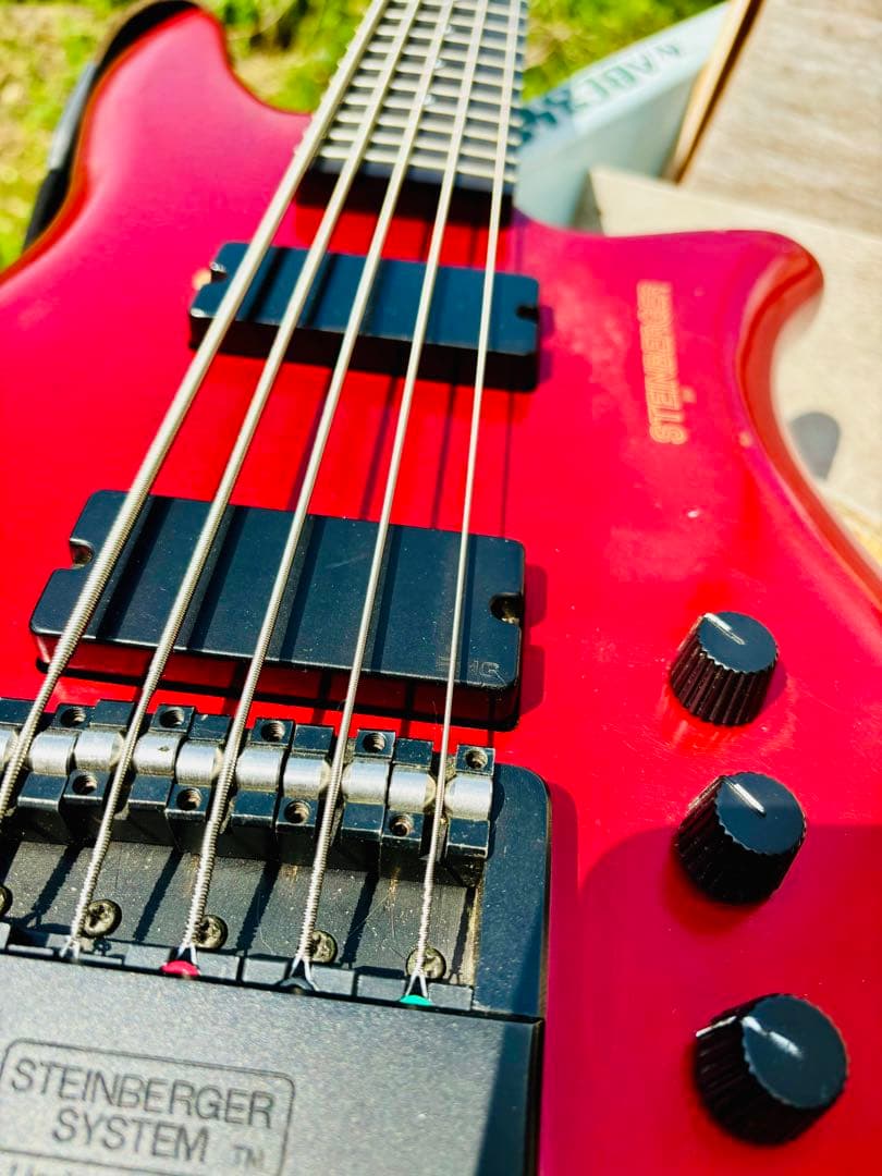 Steinberger XQ-25 1991 PLEK済み