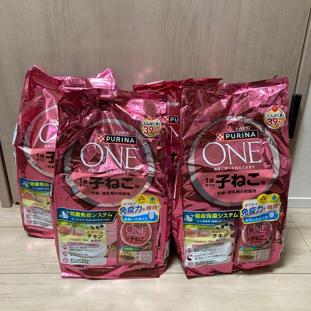 みぎりPURINA ONE 子ねこ 12kgセット