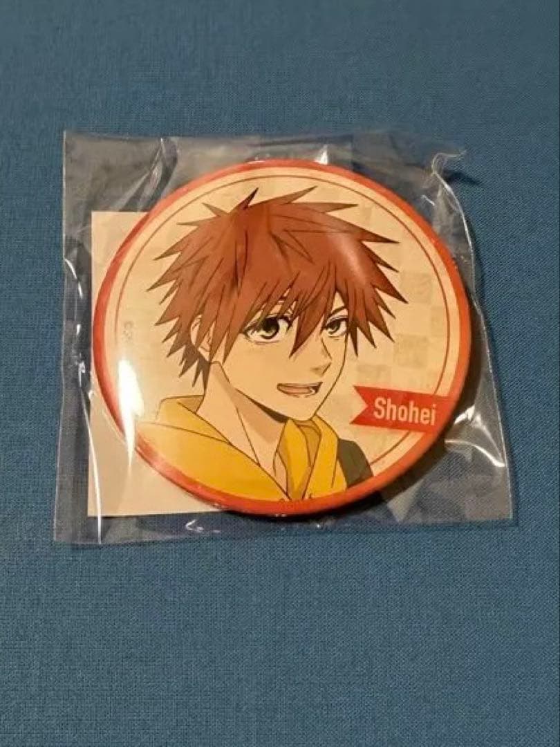 くじ引き堂　D賞　コンプリートセット　(計12個)