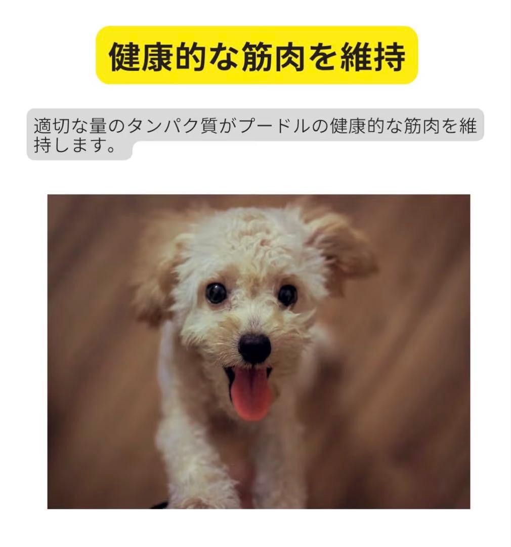  CANIN プードル 7.5kg x1