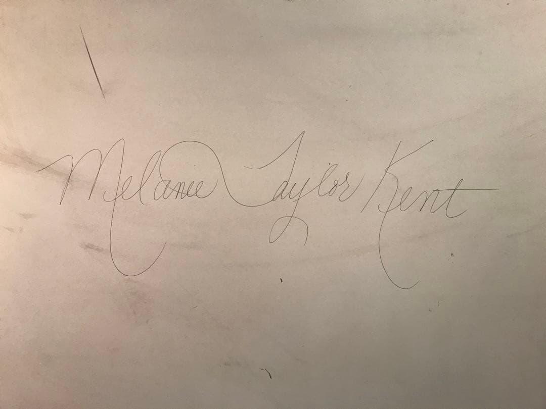 奏さま専用　メラニー・ケント「エレクトリックパレード」　シルクスクリーン