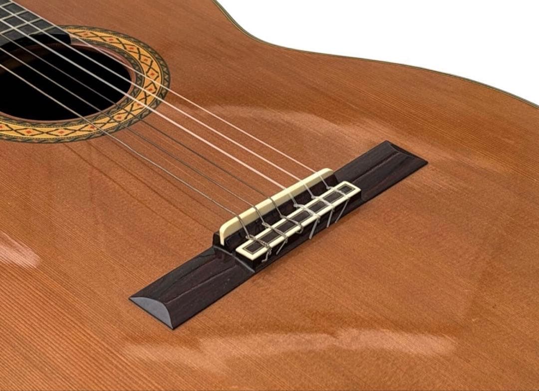 タカミネ　Takamine No.5 クラシックギター /弦楽器