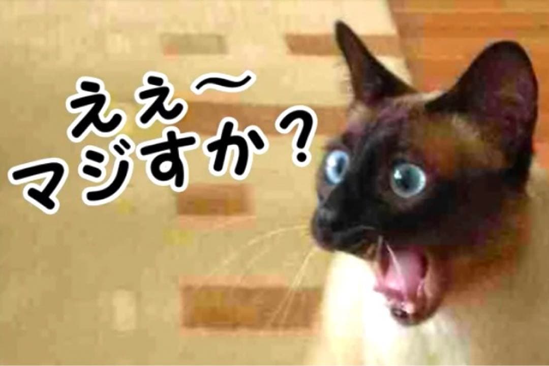 【※エラー品】 アイナナ きらどるぬいぐるみ モンぬい メガネなし 二階堂大和