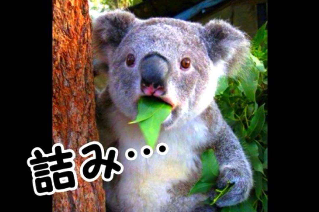 【※エラー品】 アイナナ きらどるぬいぐるみ モンぬい メガネなし 二階堂大和