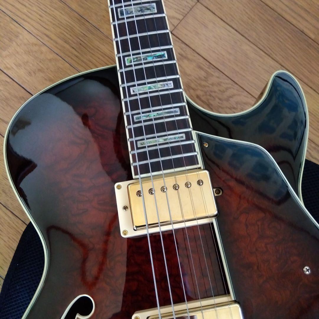 アイバニ―ズ　フルアコ　AK95―DBS―12―03　ソフトケ−ス付き