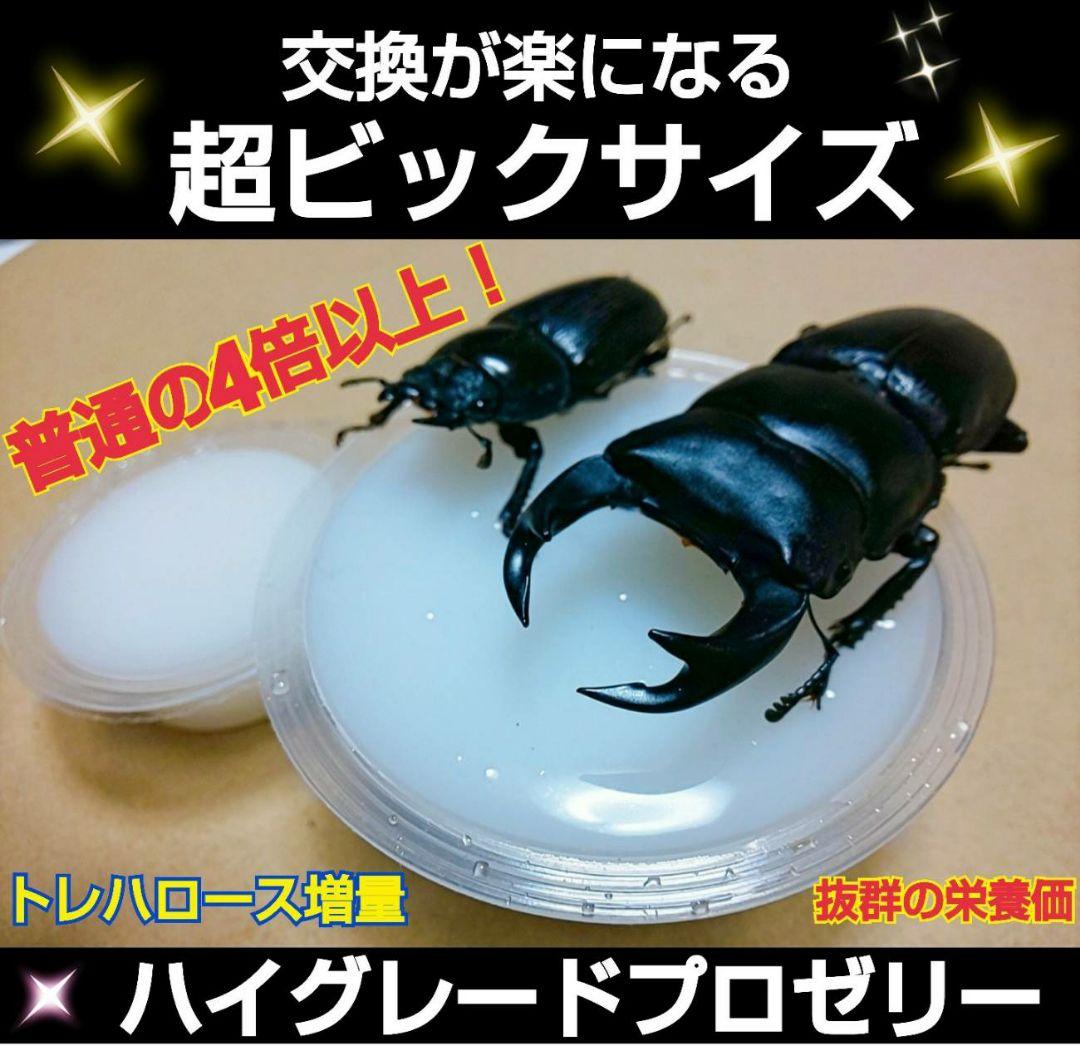 超ビッグサイズ！ハイグレードプロゼリー200個　普通の4倍以上のデカサ！プロ仕様