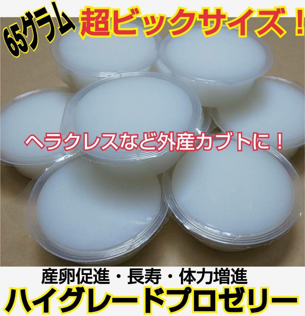 超ビッグサイズ！ハイグレードプロゼリー200個　普通の4倍以上のデカサ！プロ仕様