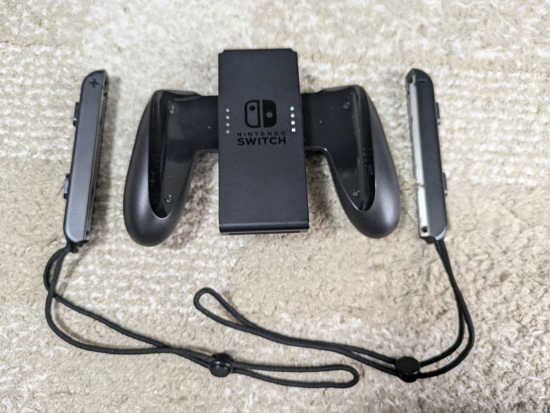 Nintendo Switch 青/赤 ソフトケース付